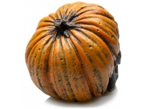 GiganAqua Lebka Pumpkin