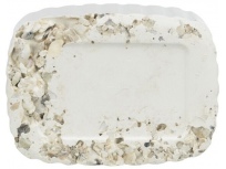 Klovací kámen s mořskými mušlemi, 200 g