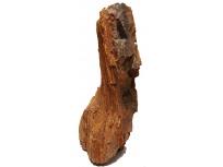 Zkamenělé dřevo 3,31kg