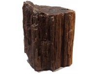 Zkamenělé dřevo 5,15kg