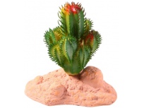 Kaktus RP-10 Reptile Nova 10 cm