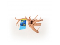 Azalea Root S