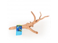 Azalea Root S