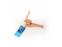 Azalea Root S