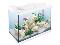 Akvarijní set Tetra Starter Line LED bílá 61x32x51cm 80l