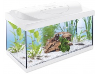 Akvarijní set Tetra Starter Line LED bílá 60x30x30cm 54l
