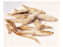 Rybičky mražené 100g