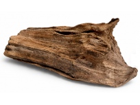 Kořen DriftWood 36cm