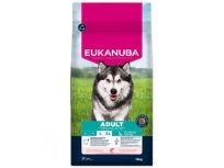 Krmivo EUKANUBA Adult Large rich in salmon and barley 12kg