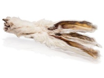 Králičí ucho se srstí