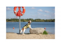 Life Vest plovací vesta