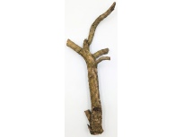 Korková větev Tronchos 0,5kg 68cm