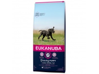 Eukanuba Puppy Large