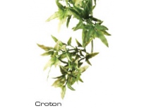 Rostlina plast Croton (doprodej)