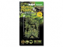 Rostlina plovoucí Fanwort