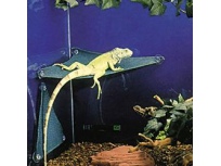 Lizard Ladder - odpočívadlo pro plazy
