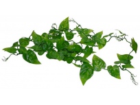 Pothos Vine 200cm