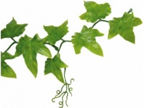 Ivy Vine 200cm