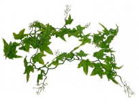 Ivy Vine 200cm