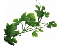 Gape Leaf Vine 200cm