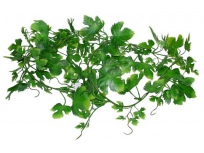 Gape Leaf Vine 200cm