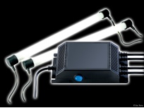 ExoTerra Light Unit Glomat T8