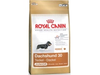 Royal Canin MINI Jezevčík Junior