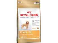 Royal Canin MINI Pudl