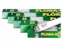 Zářivka Flora Glo