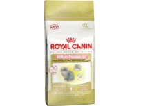 Royal Canin Kitten Persian