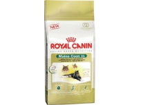 Royal Canin Maine Coon