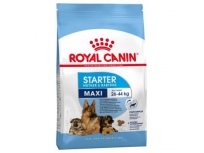 Royal Canin MAXI Starter