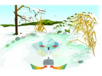 Rozmražovač Ice free 20